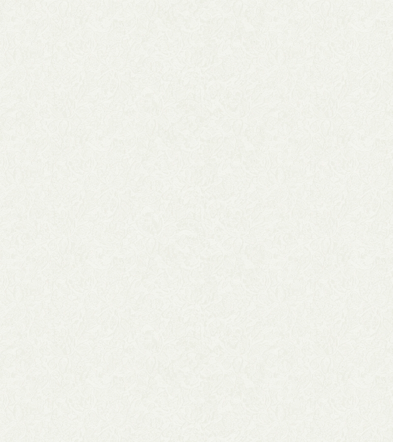 54447 - marburg Basic